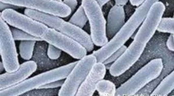 關(guān)于深入開(kāi)展2016年全國(guó)安全用藥月活動(dòng)的通知